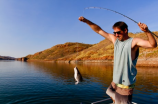 钓鱼大师：渔具技巧与鱼种解析