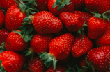 草莓，红红的小果子