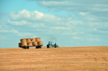 安利公司四大农场：从种植到销售，助推可持续发展