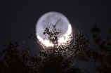 长月烬月：百年难遇的神奇天象