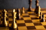 梅拉德诺维奇：国际象棋界的传奇大师