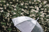 靖江市天气预报：未来一周有降雨，请注意带伞